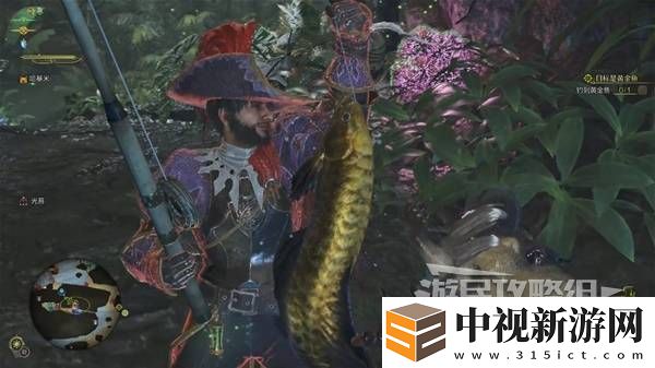 怪物獵人荒野黃金魚怎么釣-釣黃金魚位置一覽