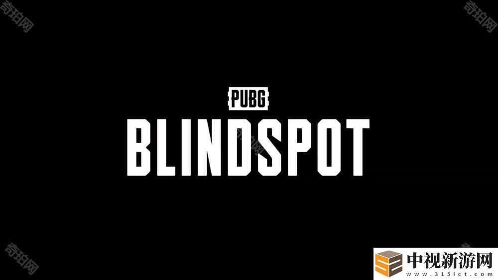 PUBG衍生射擊新游《絕地求生:盲點(PUBG: Blindspot)》將在2月的Steam新品節推出試玩版