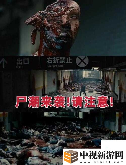 血淚總結(jié)！零失誤通關(guān)喪尸海必看攻略