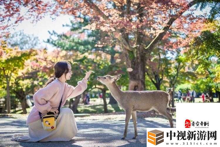 零基礎逆襲！維恩出裝公式大公開