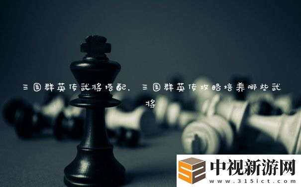 三國群英傳武將搭配