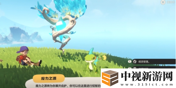 洛克王國世界寵物怎么放生