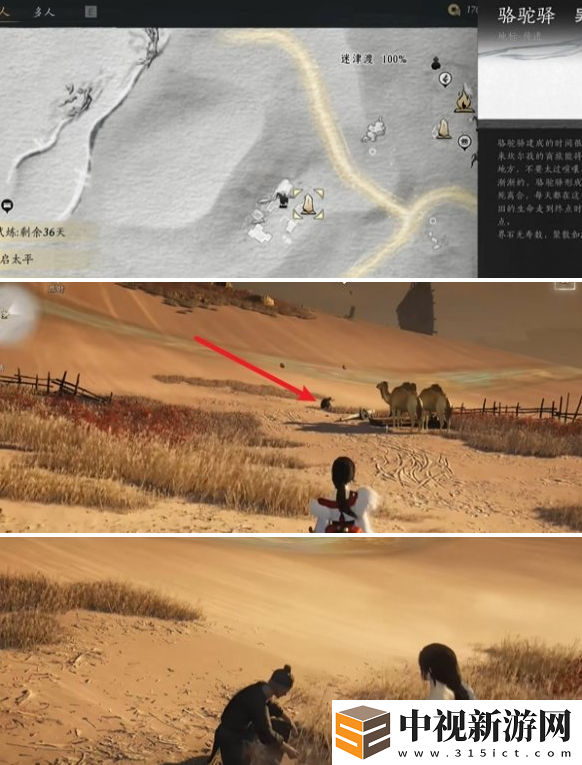 燕云十六聲駱駝鈴鐺任務(wù)怎么做