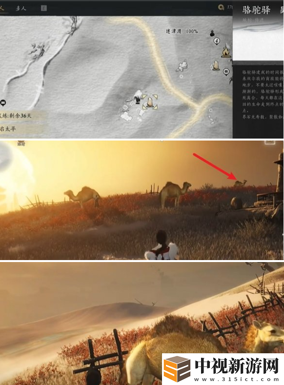 燕云十六聲駱駝鈴鐺任務(wù)怎么做